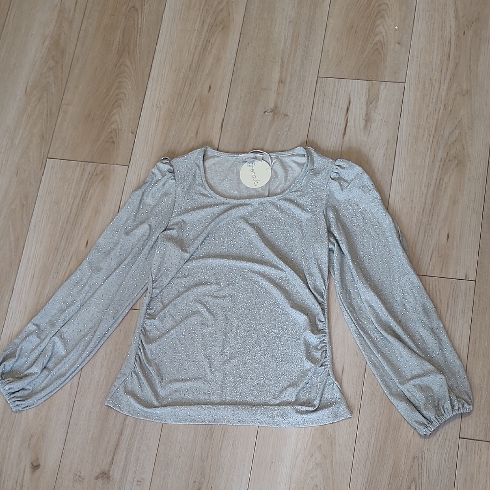 Chenault Shimmering Silver Blouse Size M